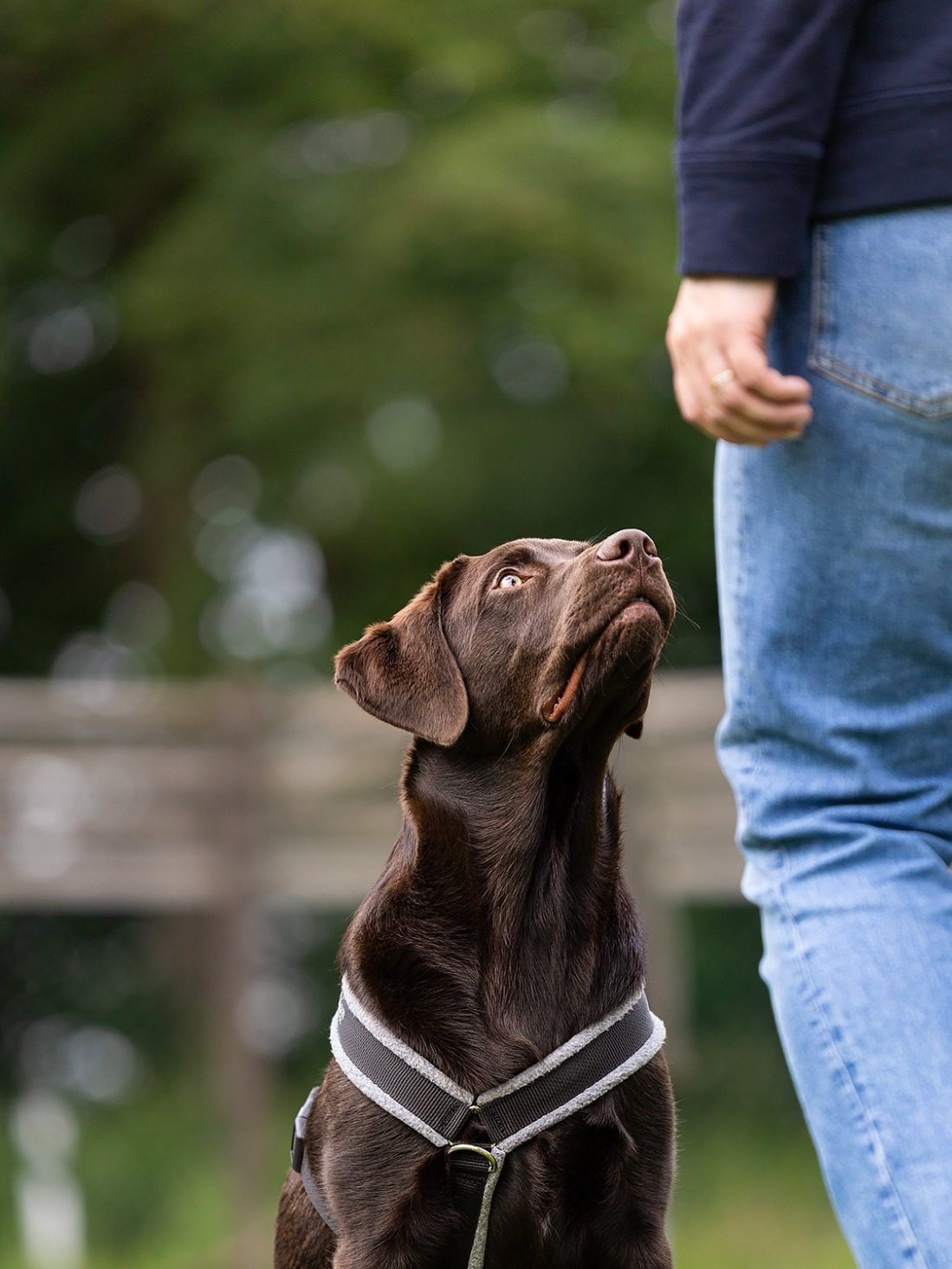 Training Fortgeschrittenen